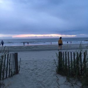 Meet your Posher, Hattie